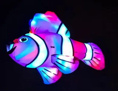 700_clown fish