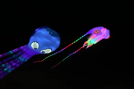 kite 3